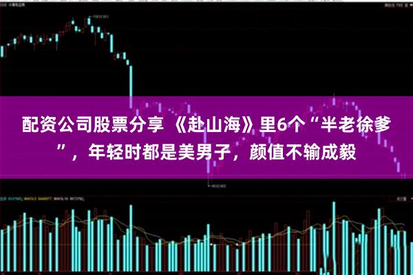 配资公司股票分享 《赴山海》里6个“半老徐爹”，年轻时都是美男子，颜值不输成毅